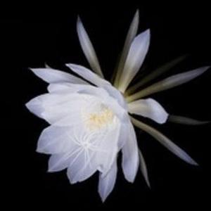 重启的五月 头像