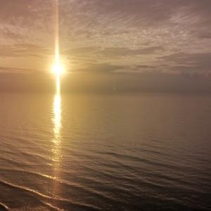 不凡海洋PR 头像