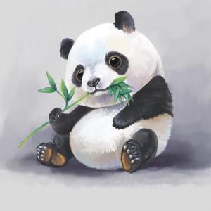 药师小熊猫 头像