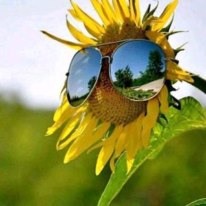 滨城一米九 头像