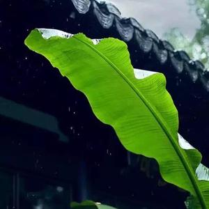 我来说0123 头像