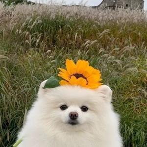 鲁拉鲁拉噜啦噜啦嘞 头像