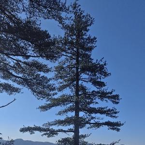 放飞心情-蓝天 头像