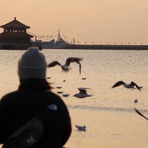 自在人间百态 头像