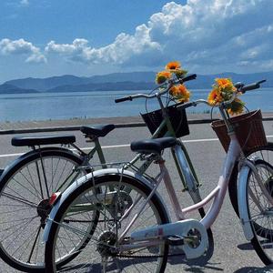 暴酸的柠檬 头像