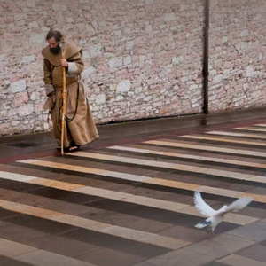 程劭軍影像視界 头像