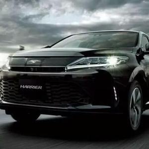 爽朗的朋友 头像