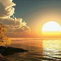 小熊软糖贩卖机 头像