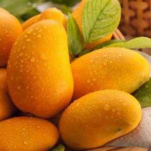 广东方刚gdfanggang 头像