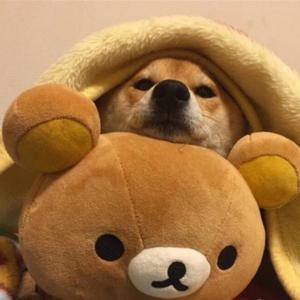 崽崽看电视 头像