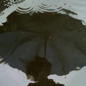 小宁讲故事 头像