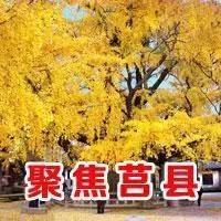 聚焦莒县 头像