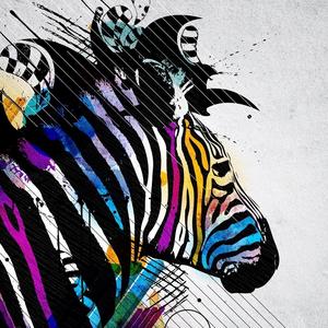 喜欢金龟子的孟皓 头像