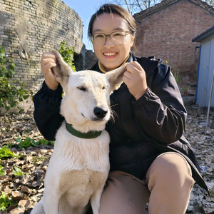 豫东暖妈生活 头像