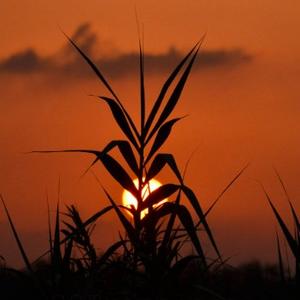 宇宙丶星辰 头像