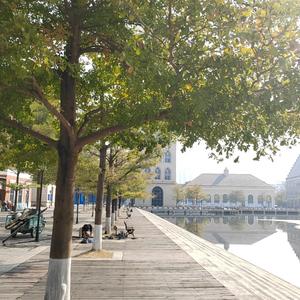 向往的自由 头像