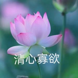 创意科普师头像