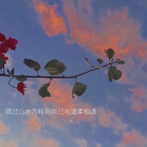 小石头旅行中 头像