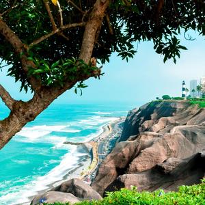 恋风华2020 头像