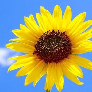 南北冷知识2828 头像