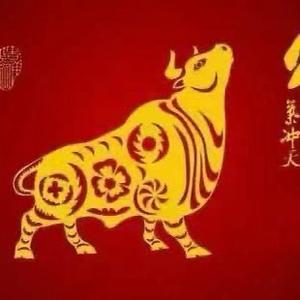 鸿宏红555