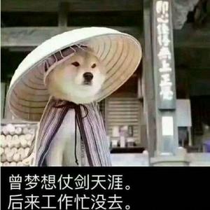 爱天齐头像