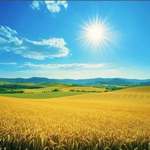 积极的饭团 头像