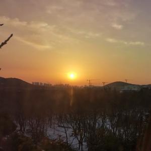 回忆不是乡愁 头像