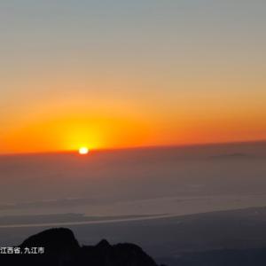 大橙子老师 头像