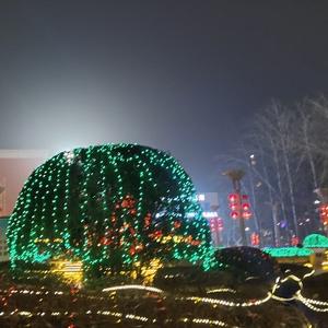 669刘海梅
