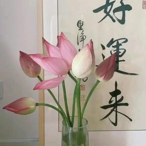 晨雾掩山村 头像