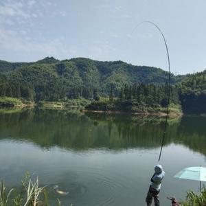 独钓直黄昏 头像