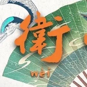 说实话的卫嘴子