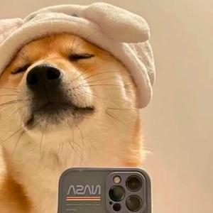 九丶钟的尒 头像