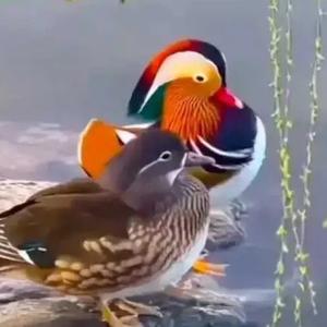 余生不死就死磕