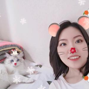 珍珠姐姐说留学 头像