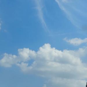 老郭皇帝柑 头像