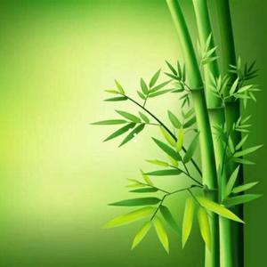 居不可无竹 头像