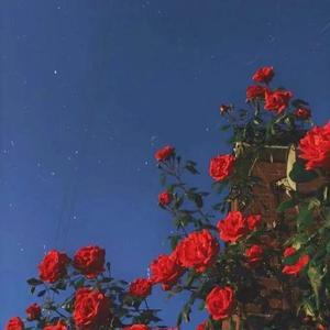 干货铺的打工仔 头像