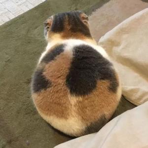 云泽大自然 头像