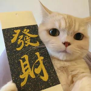 对方正在长头发 头像