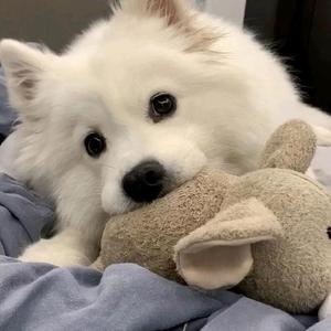 白哥说趣闻 头像