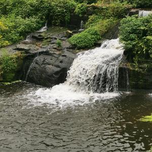 田边老哥头像