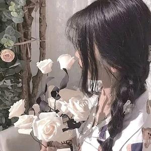 cute宝藏女孩木辞 头像