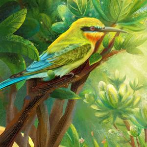 足坛新视野 头像