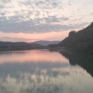 爱历史的DIYER 头像