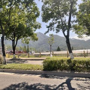 神秘柑桔rTk 头像