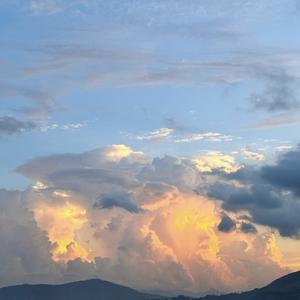 高贵柑桔r7 头像