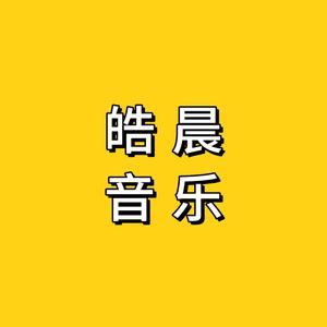 皓晨音乐-音乐优盘 头像