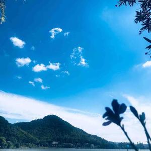 歌依旧洒脱 头像